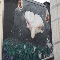 Photo de belgique - Liège, la Cité ardente